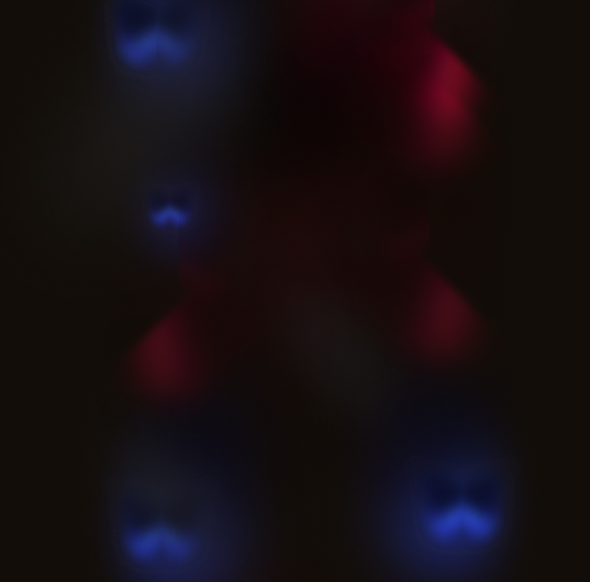 Фон секции программы